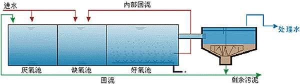 金年会体育科技